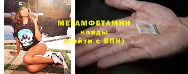 прущие грибы Беломорск