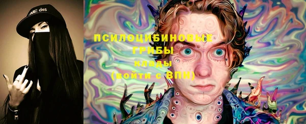 прущие грибы Беломорск